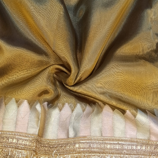 Fancy Tissue Lace Border Saree | SSTL303