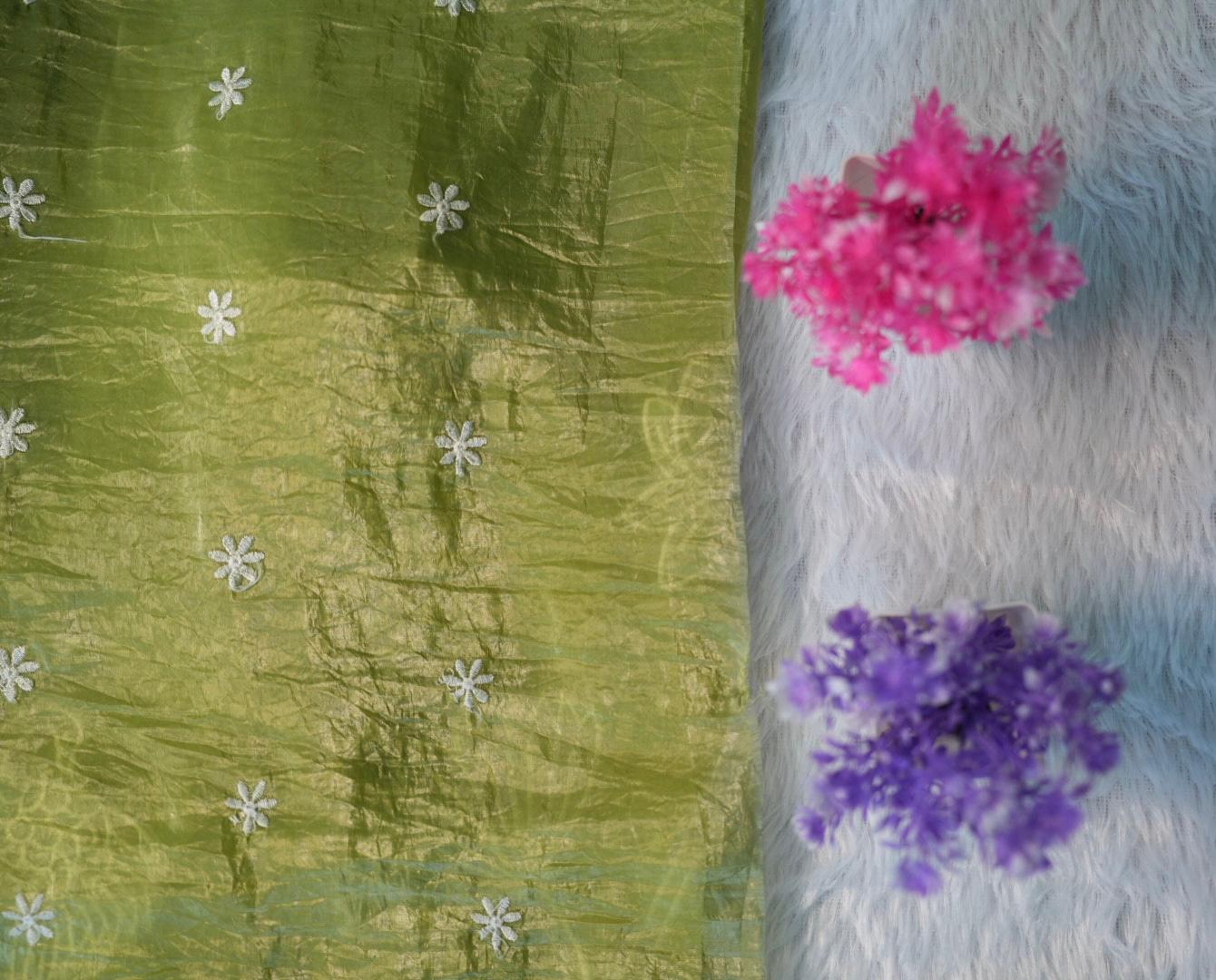 Aplique Saree | SSAS179