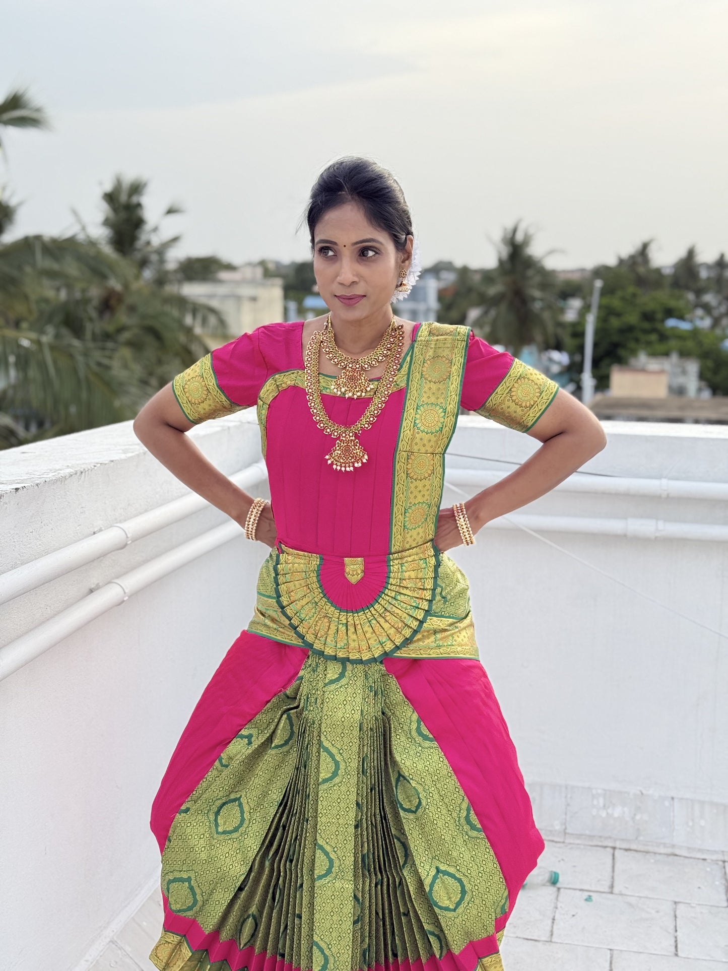 Bharatanatyam Costume | SSBS195