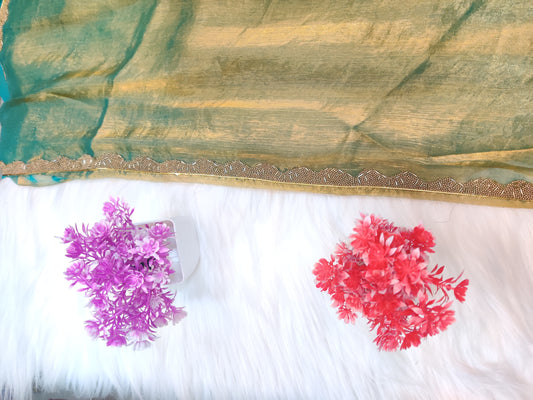 Space Silk Saree | SSSS283