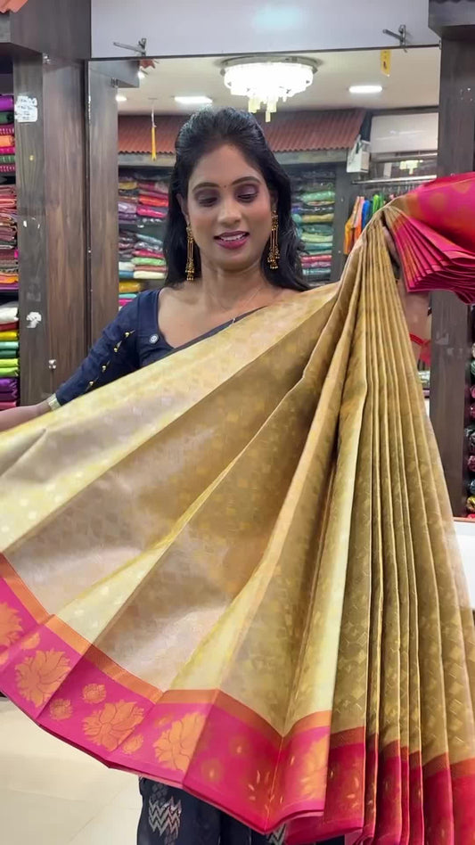 Zari Woven Tissue Gold & Green Silk Saree | SSWT335 

Tribute and commitment  to pursue my mother's