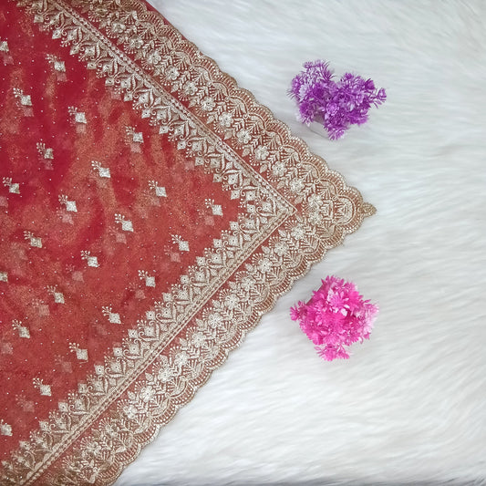 Fancy Work Saree | SSFW285