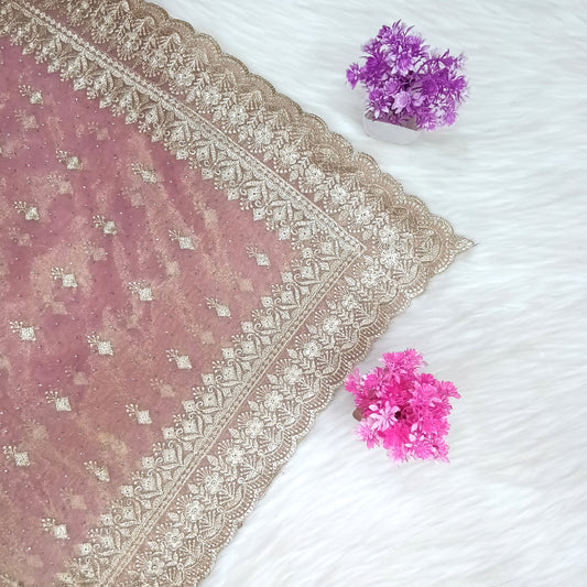 Fancy Work Saree | SSFW285