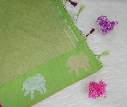 Raw Silk Saree | SSRS287