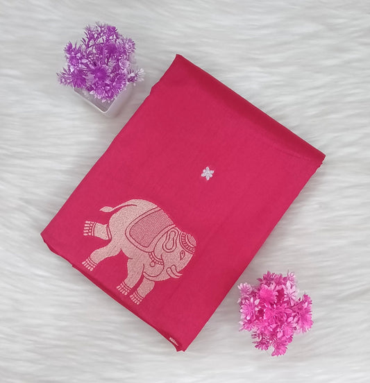 Raw Silk Saree | SSRS287