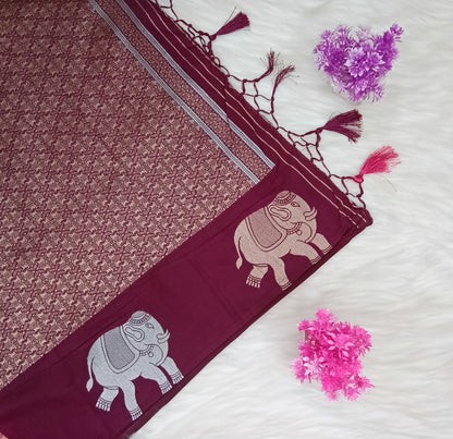Raw Silk Saree | SSRS287