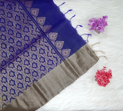 Pochampolli Silk Saree | SSPS290
