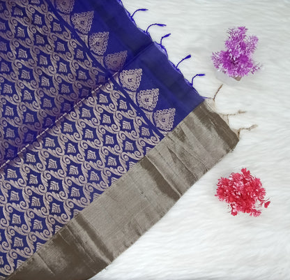 Pochampolli Silk Saree | SSPS290