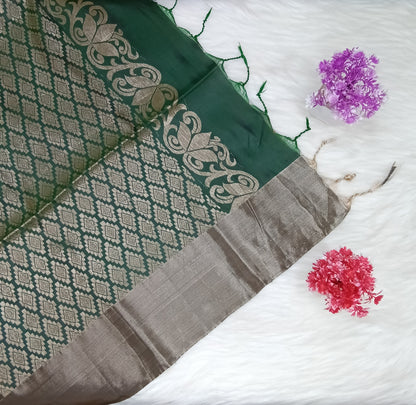 Pochampolli Silk Saree | SSPS290