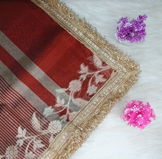 Fancy Tissue Lace Border Saree | SSTL303