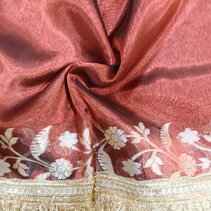 Fancy Tissue Lace Border Saree | SSTL303