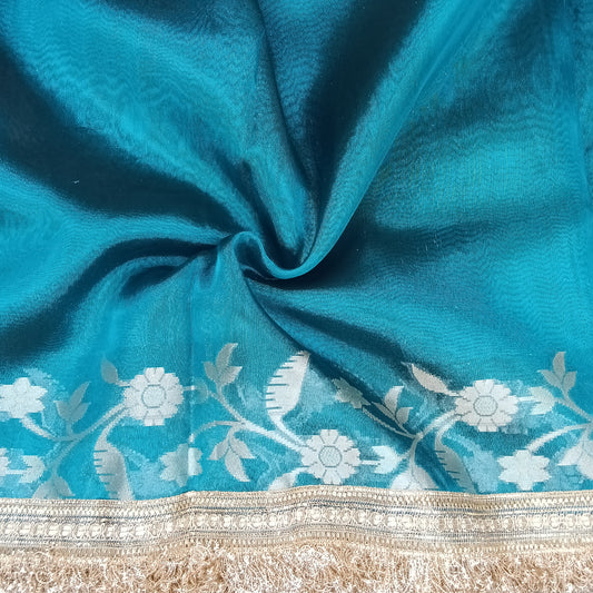 Fancy Tissue Lace Border Saree | SSTL303