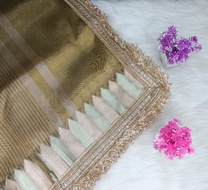 Fancy Tissue Lace Border Saree | SSTL303