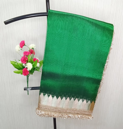 Fancy Tissue Lace Border Saree | SSTL303
