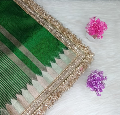 Fancy Tissue Lace Border Saree | SSTL303