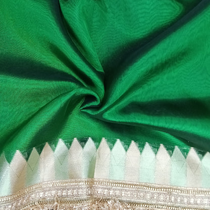 Fancy Tissue Lace Border Saree | SSTL303