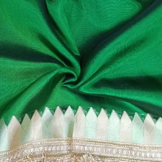Fancy Tissue Lace Border Saree | SSTL303