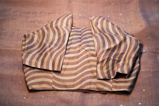 Blouse With Fancy Saree | SSBS207