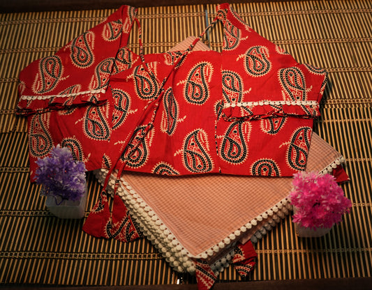 Blouse With Fancy Saree | SSBS207