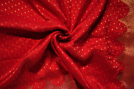 Fancy Saree | SSFS215
