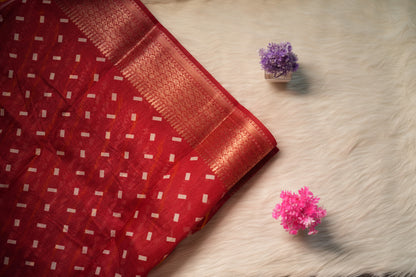 Ikkat Dola Saree | SSDS213