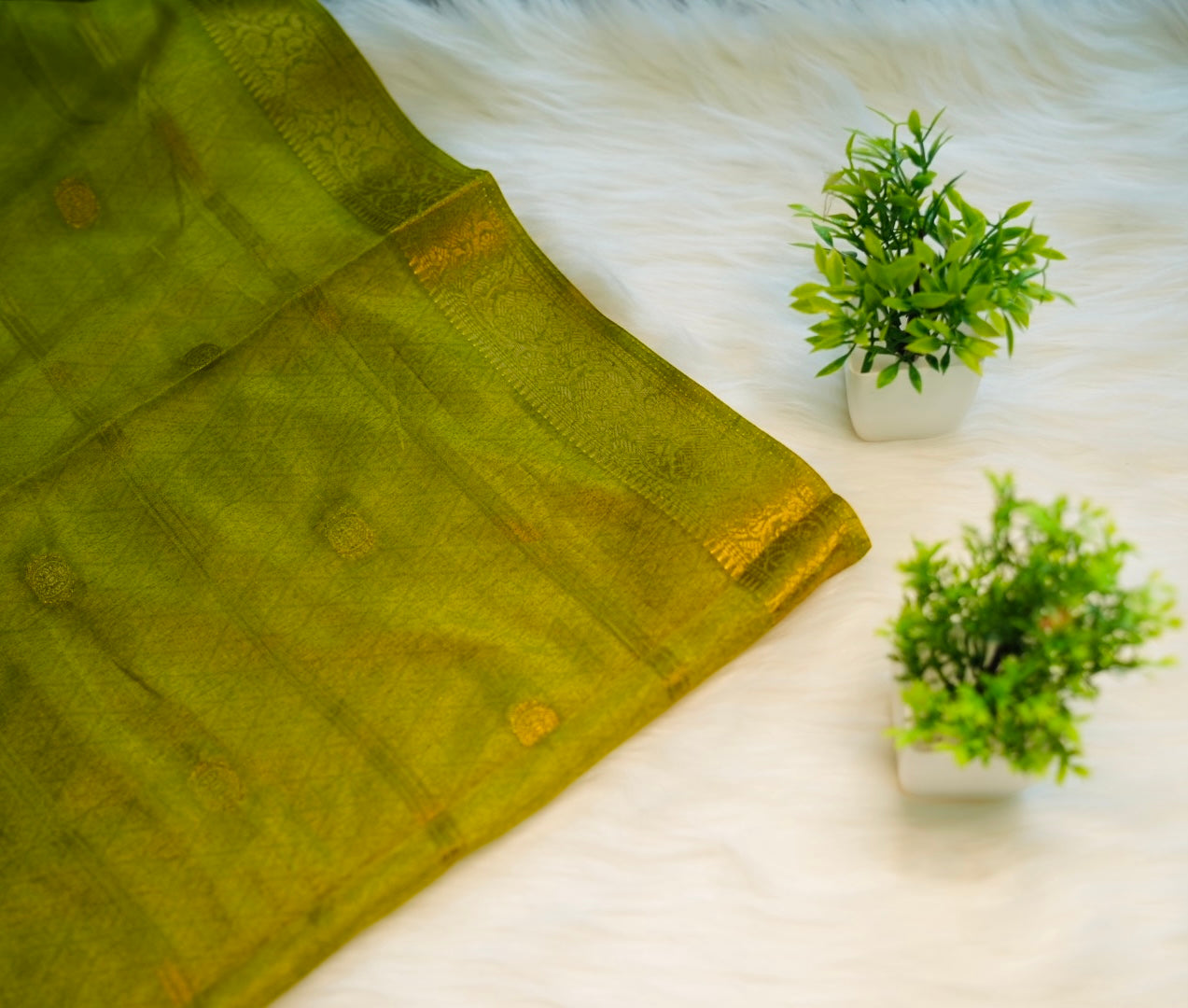 Gaja Dola Silk Saree | SSDS185