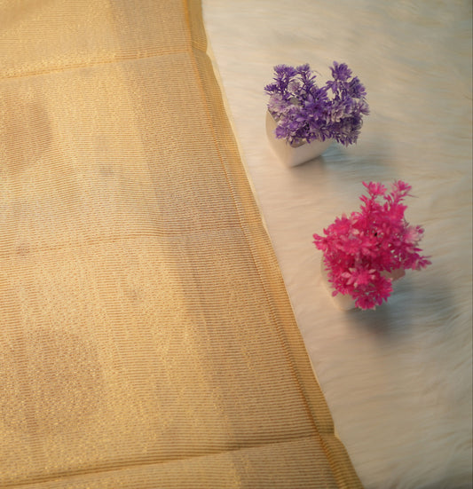 Tussar Silk Saree | SSTS199