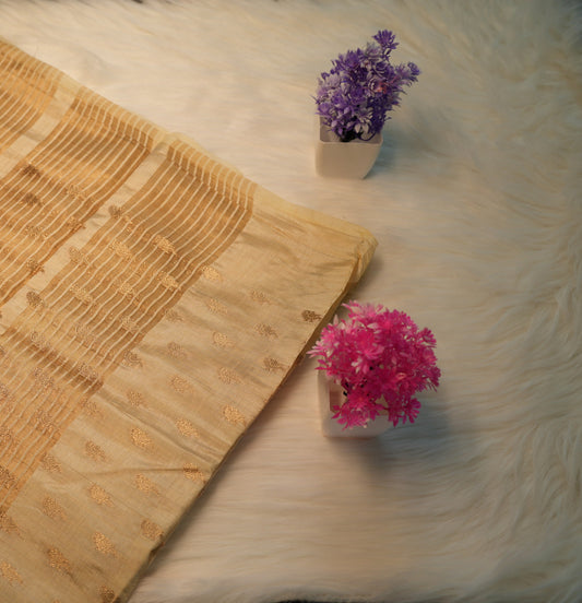 Tussar Silk Saree | SSTS197