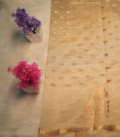 Tussar Silk Saree | SSTS197