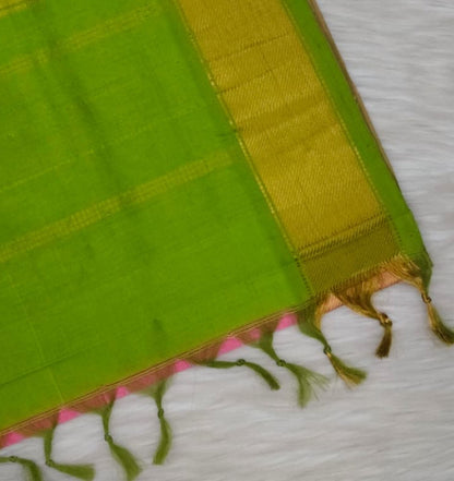 Silk Cotton Saree | SSSC415