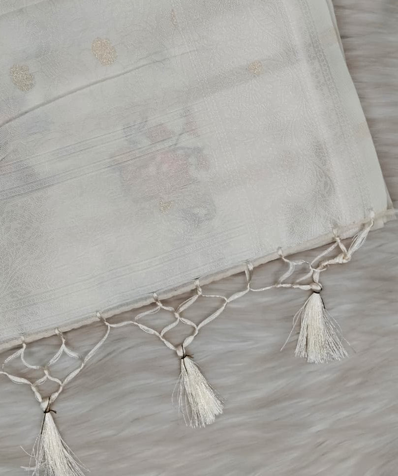 Juju Saree | SSJS420