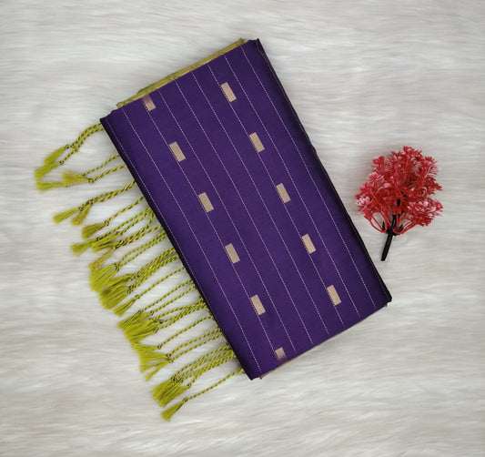 Kanchipuram Silk Saree | SSKS430