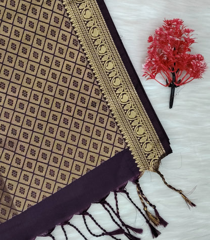 Kanchipuram Silk Saree | SSKS430