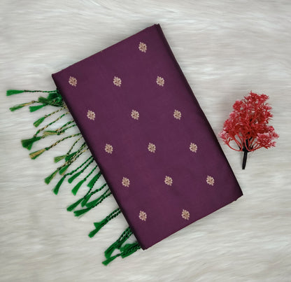 Kanchipuram Silk Saree | SSKS430