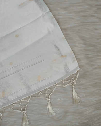 Juju Saree | SSJS420