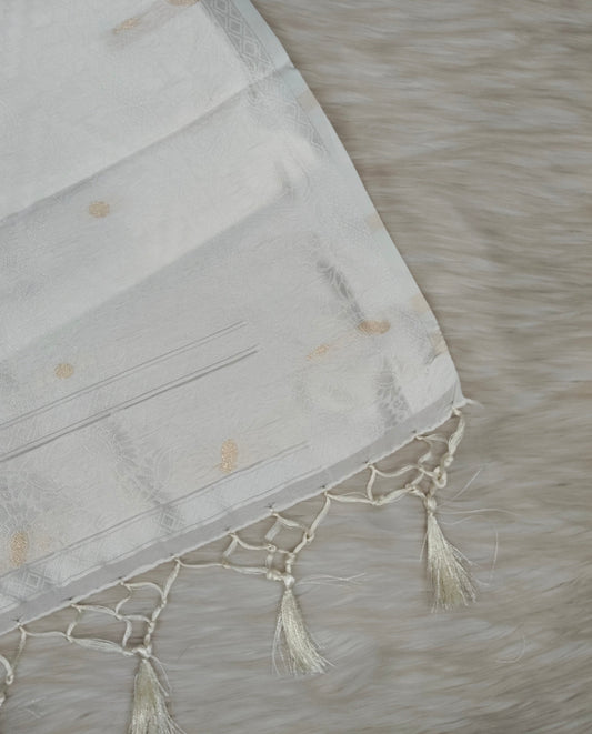 Juju Saree | SSJS420