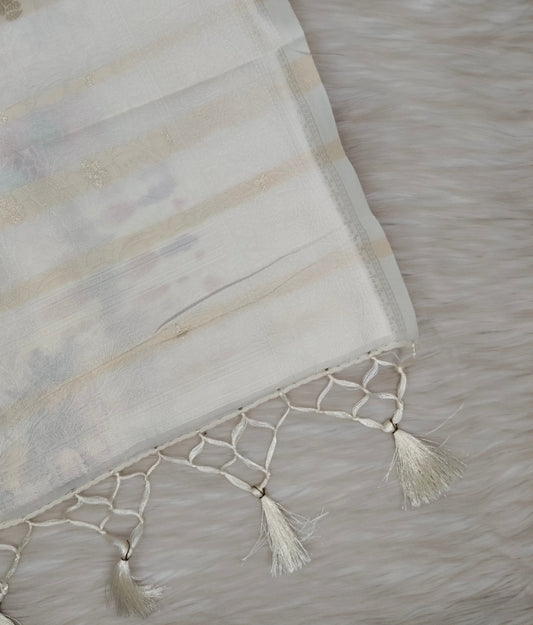Juju Saree | SSJS420