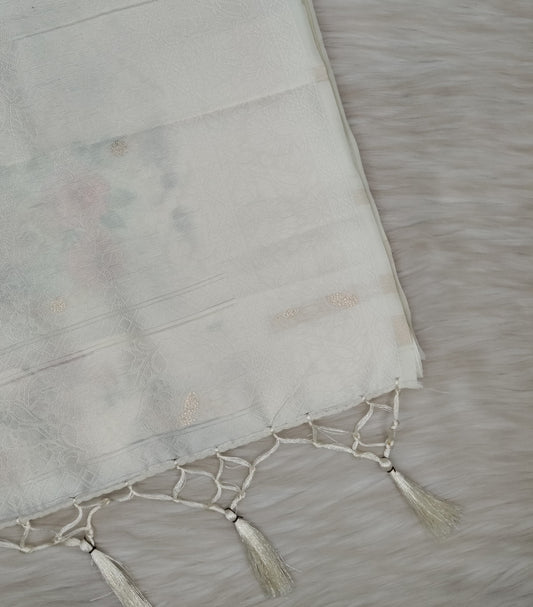 Juju Saree | SSJS420