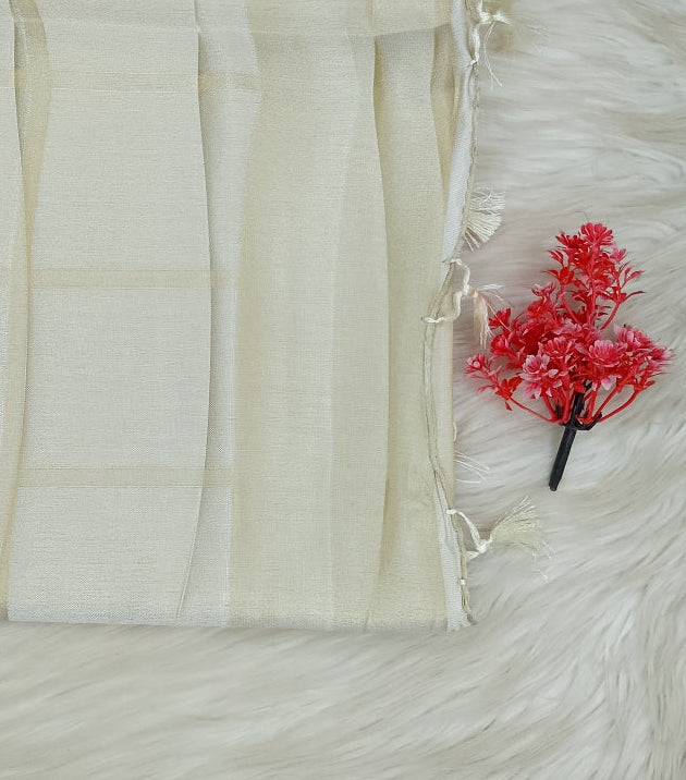 Cotton Saree | SSCS494