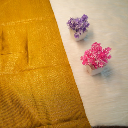 Tussar Silk Saree | SSTS199