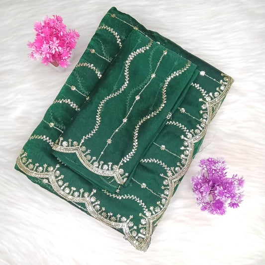 Designer Space Silk Saree | SSDS282