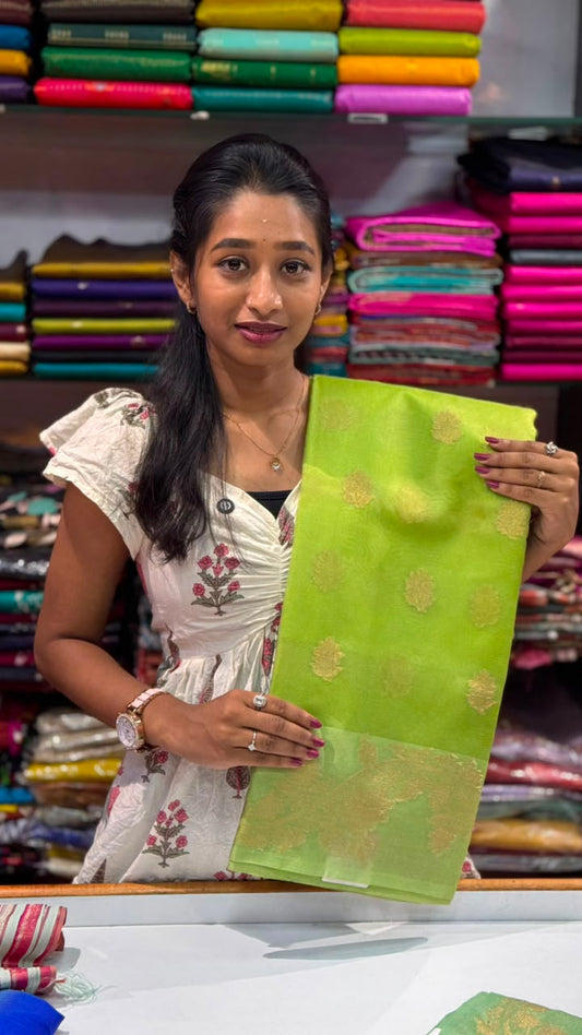 Organza Bathi Saree | SSOB391