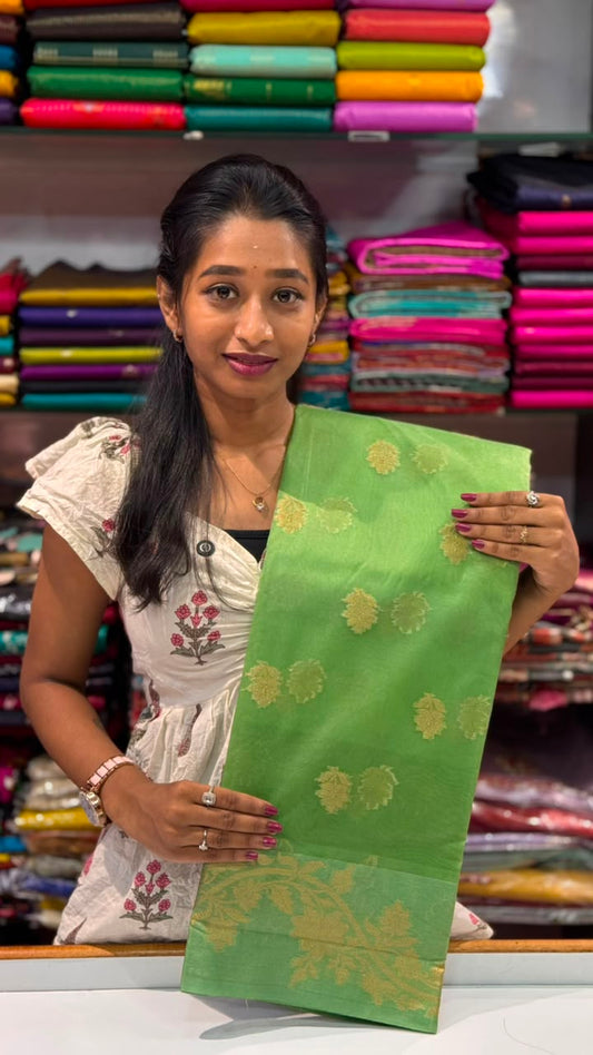 Organza Bathi Saree | SSOB391