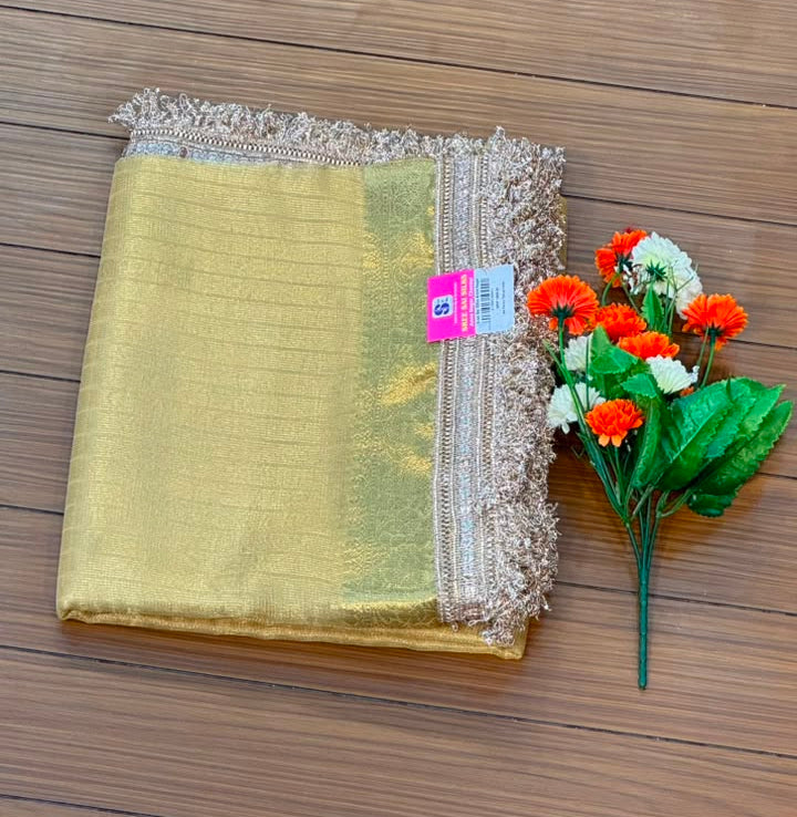 Fancy Tissue Lace Border Saree | SSLT395