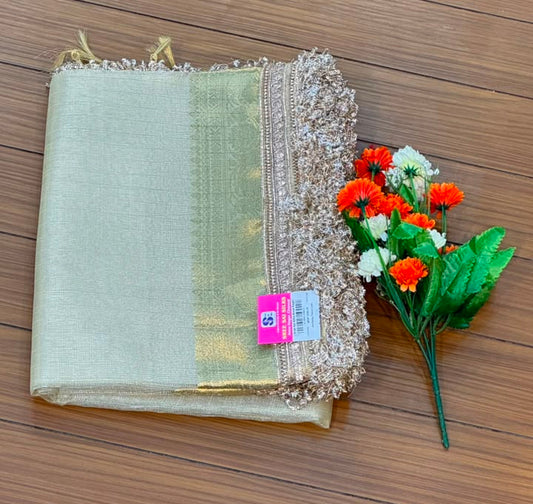 Fancy Tissue Lace Border Saree | SSLT395