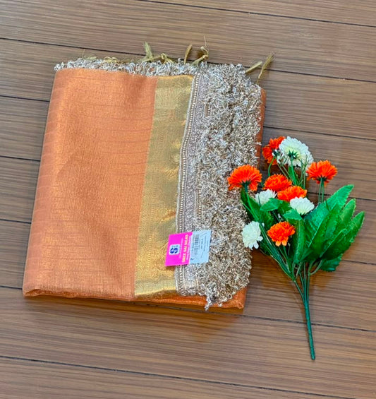 Fancy Tissue Lace Border Saree | SSLT395
