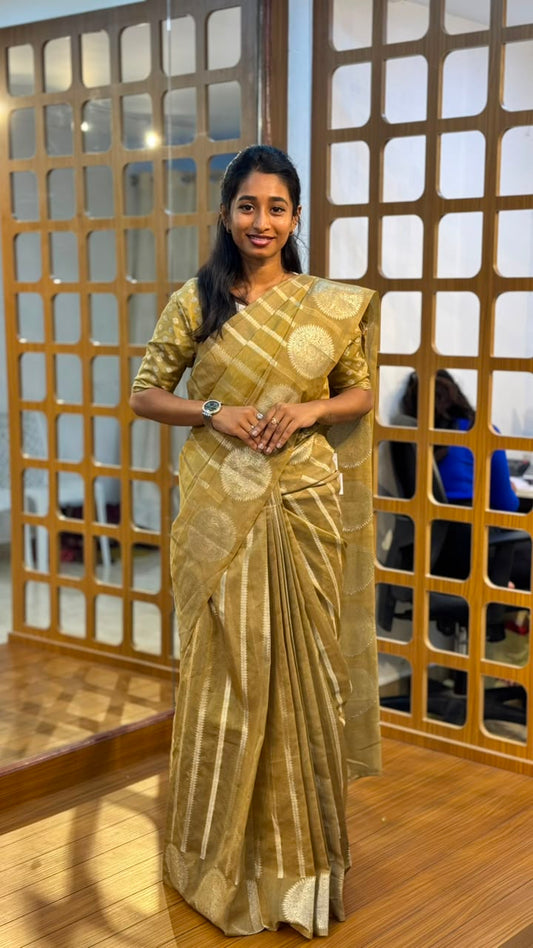 Zip & Go Saree | SSZG403